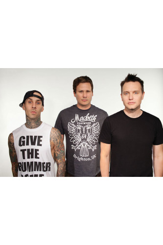 Poster Blink 192 - Bandas de Rock