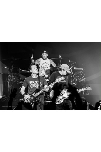 Poster Blink 192 - Bandas de Rock