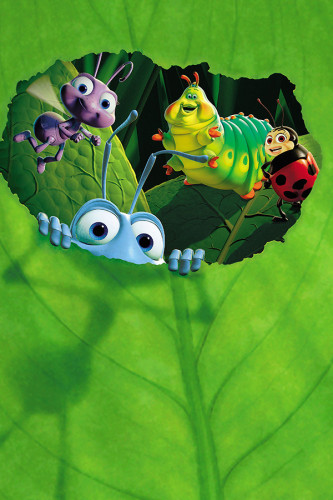 Poster Vida De Inseto
