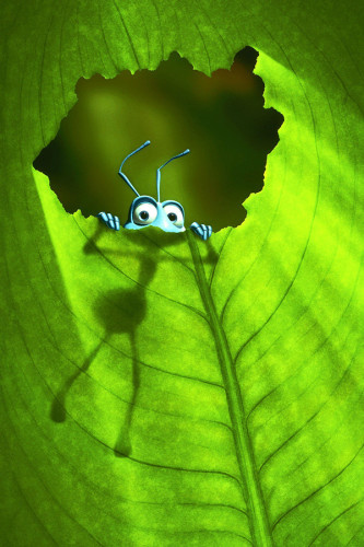 Poster Vida De Inseto