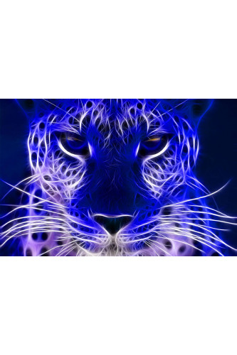 Poster Tigre  - Coleção Colors - Animais