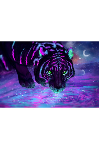 Poster Tigre  - Coleção Colors - Animais