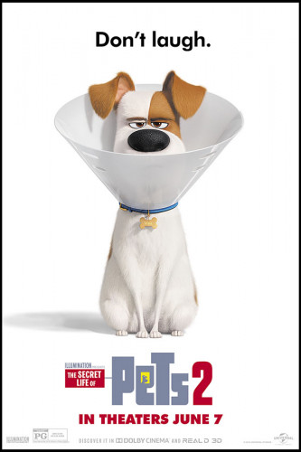 Poster Pets - Vida Secreta Dos Bichos - Filmes - Infantis