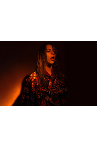 Poster Billie Elish - Pop