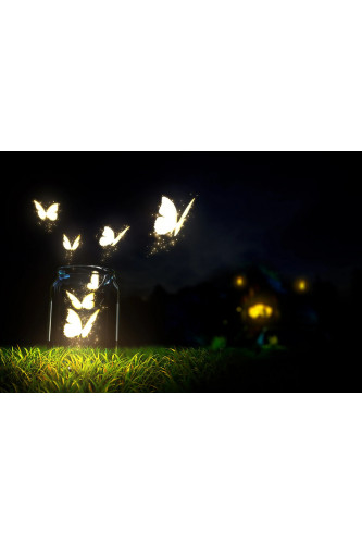 Poster Borboleta - Animais