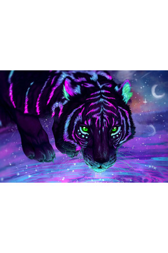 Poster Tigre - Animais