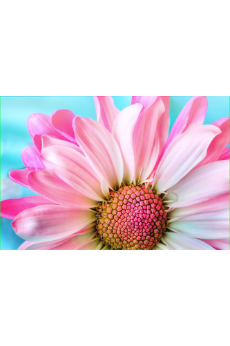 Poster - Flores