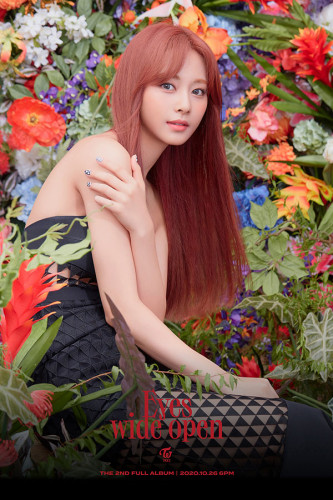Poster Twice – K-Pop