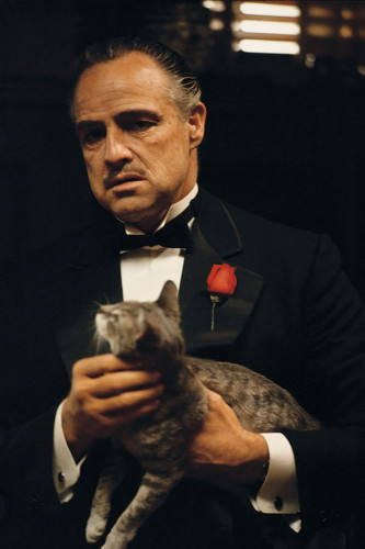 Poster O Poderoso Chefão - God Father