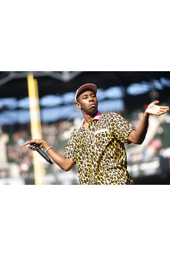 Poster Tyler The Creator - Rap - Hip Hop