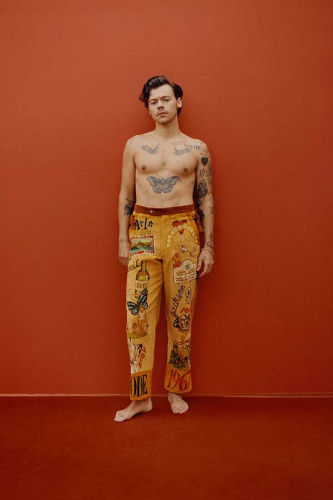 Poster Harry Styles - Ator - Música - Artistas Pop