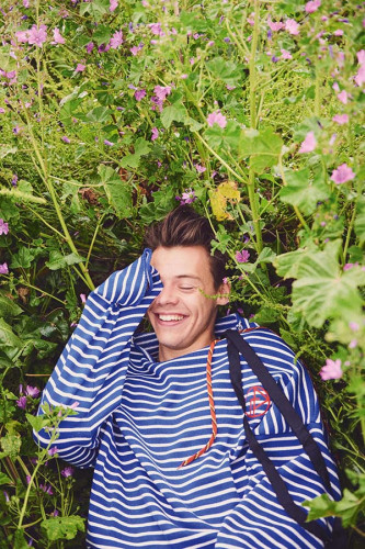 Poster Harry Styles - Ator - Música - Artistas Pop