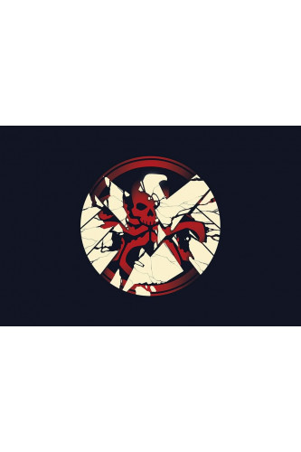 Poster Agentes Agents Of Shield