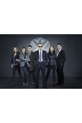 Poster Agentes Agents Of Shield
