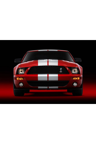 Poster Ford Shelby Cobra - Carros