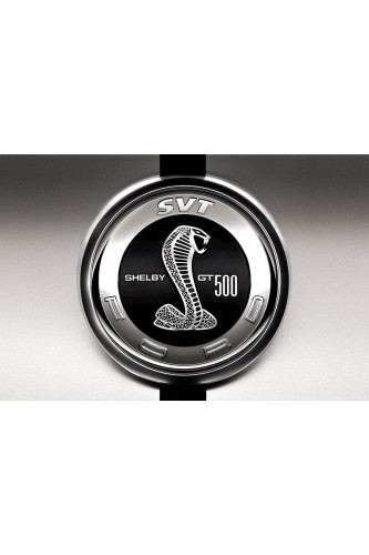 Poster Ford Shelby Cobra - Carros