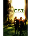 Poster CSI 9° Temporada