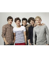 Poster One Direction
