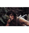 Poster  Rambo