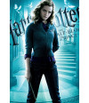 Poster Harry Potter E O Enigma Do Principe Hermione