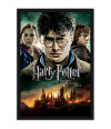 Poster Harry Potter 8 e as Reliquias da Morte Parte 2