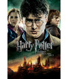 Poster Harry Potter 8 e as Reliquias da Morte Parte 2