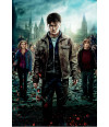 Poster Harry Potter 8 e as Reliquias da Morte Parte 2
