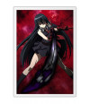 Poster Akame Ga Kill - Animes