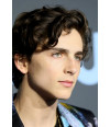 Poster Timothée Chalamet - Duna - Ator