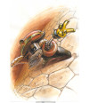 DOFUS