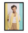 Poster Harry Styles - Former One Direction - Pop