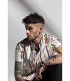 Poster Zayn - Former One Direction - Pop