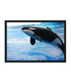 Poster Baleia - Animais