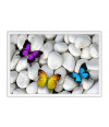 Poster Borboleta - Animais