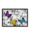 Poster Borboleta - Animais