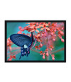 Poster Borboleta - Animais