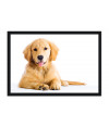 Poster Cachorro - Animais