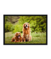Poster Cachorro - Animais