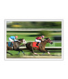 Poster Cavalo - Animais