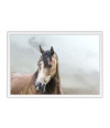 Poster Cavalo - Animais
