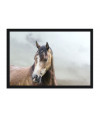 Poster Cavalo - Animais