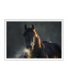 Poster Cavalo - Animais