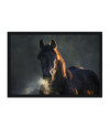 Poster Cavalo - Animais