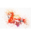 Poster Flamingo - Animais