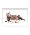 Poster Gato - Animais