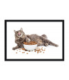 Poster Gato - Animais