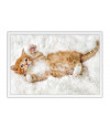 Poster Gato - Animais