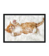 Poster Gato - Animais