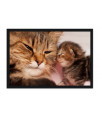 Poster Gato - Animais