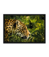 Poster Onça - Animais
